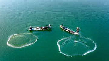 pexels-quang-nguyen-vinh-222549-2150304